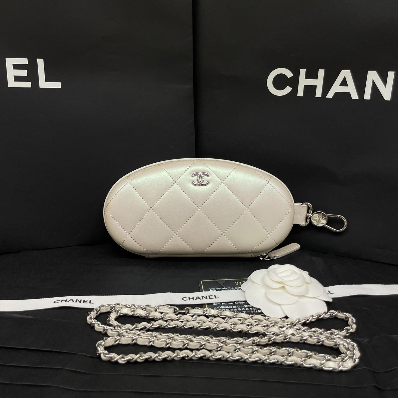 Chanel Quilted Pearlescent Leather Oval Pouch Silver Hardware