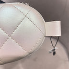 Chanel Quilted Pearlescent Leather Oval Pouch Silver Hardware