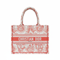 Dior Book Tote - White Background